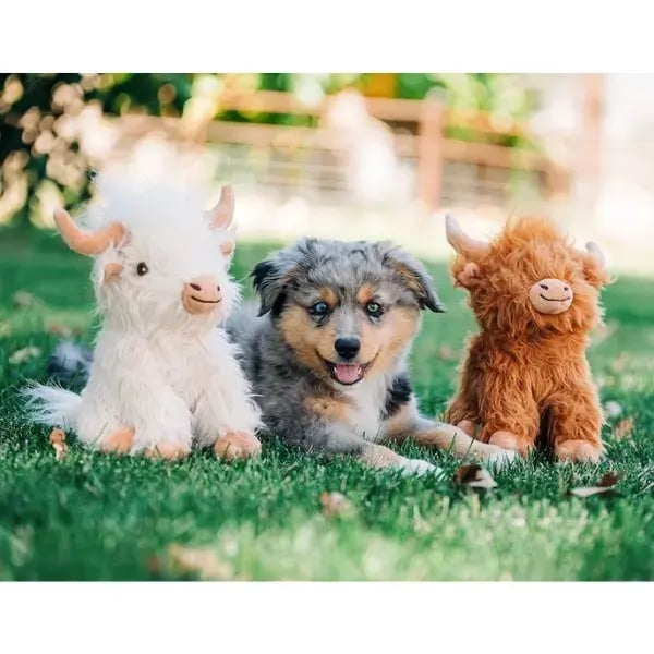 Christmas Gifts for Dogs 2024 What s On Your Dog s Wish List